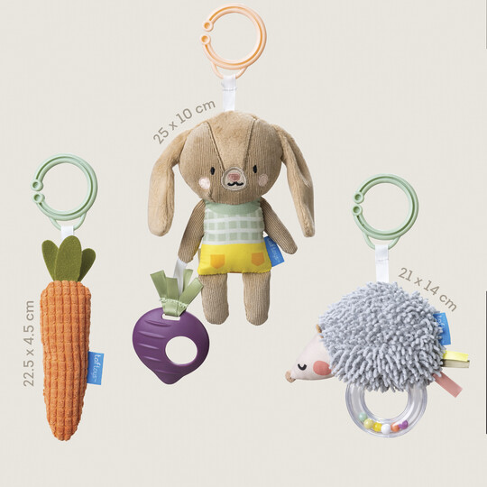 Taf Toys Baby Activity Toys Kit image number 2